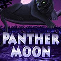 Panther Moon